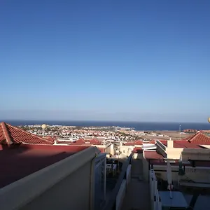 Gaviota , Caleta De Fuste Spain
