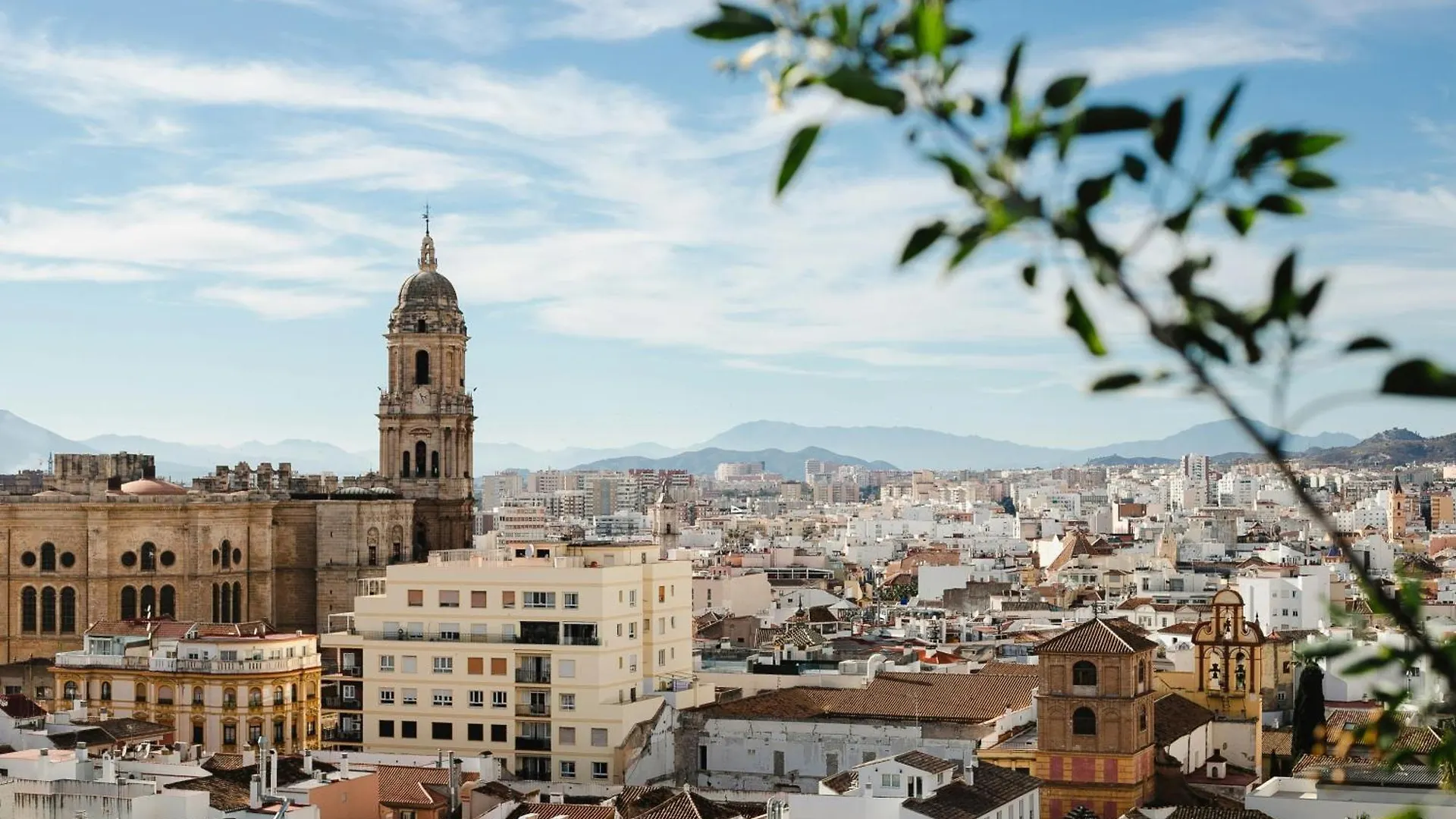Homely Malaga Felix Saenz Malaguese Lägenhet