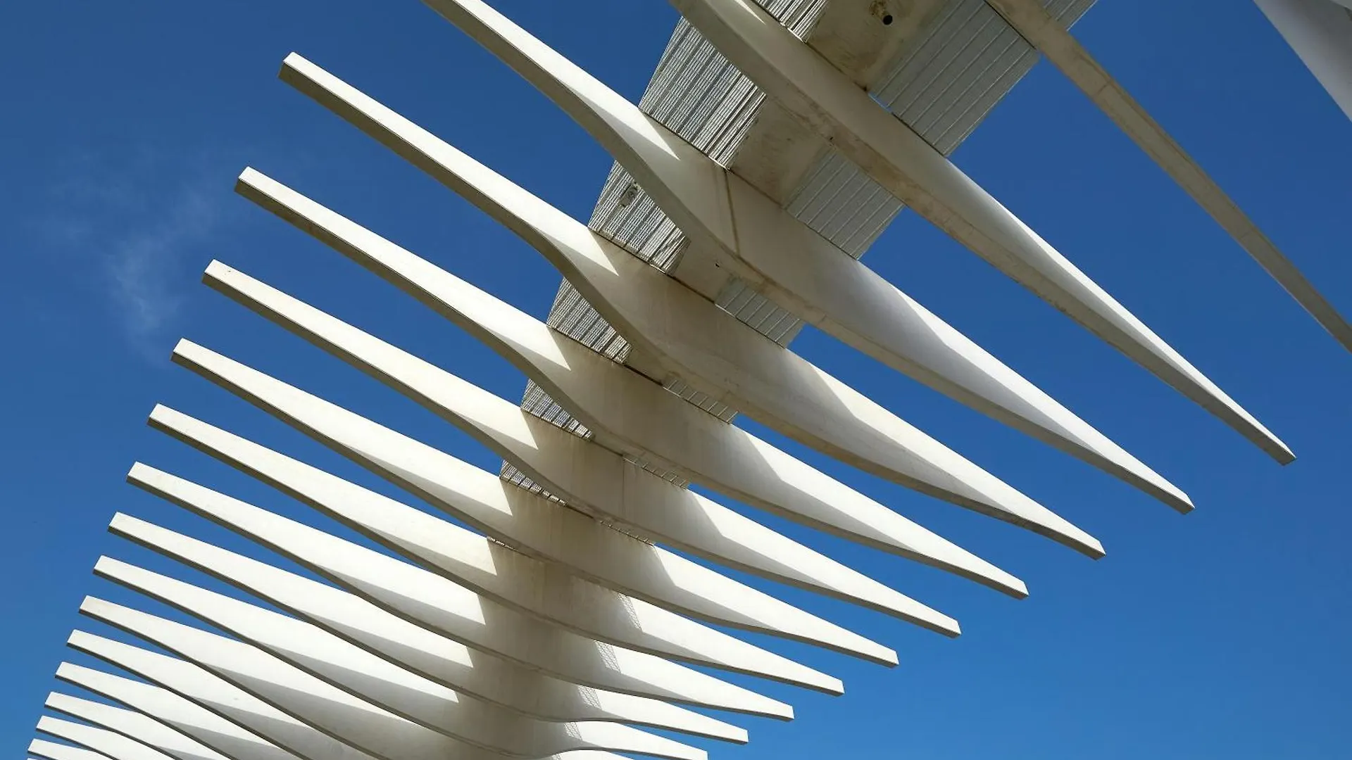 Homely Malaga Felix Saenz Malaguese 0*,  Spain
